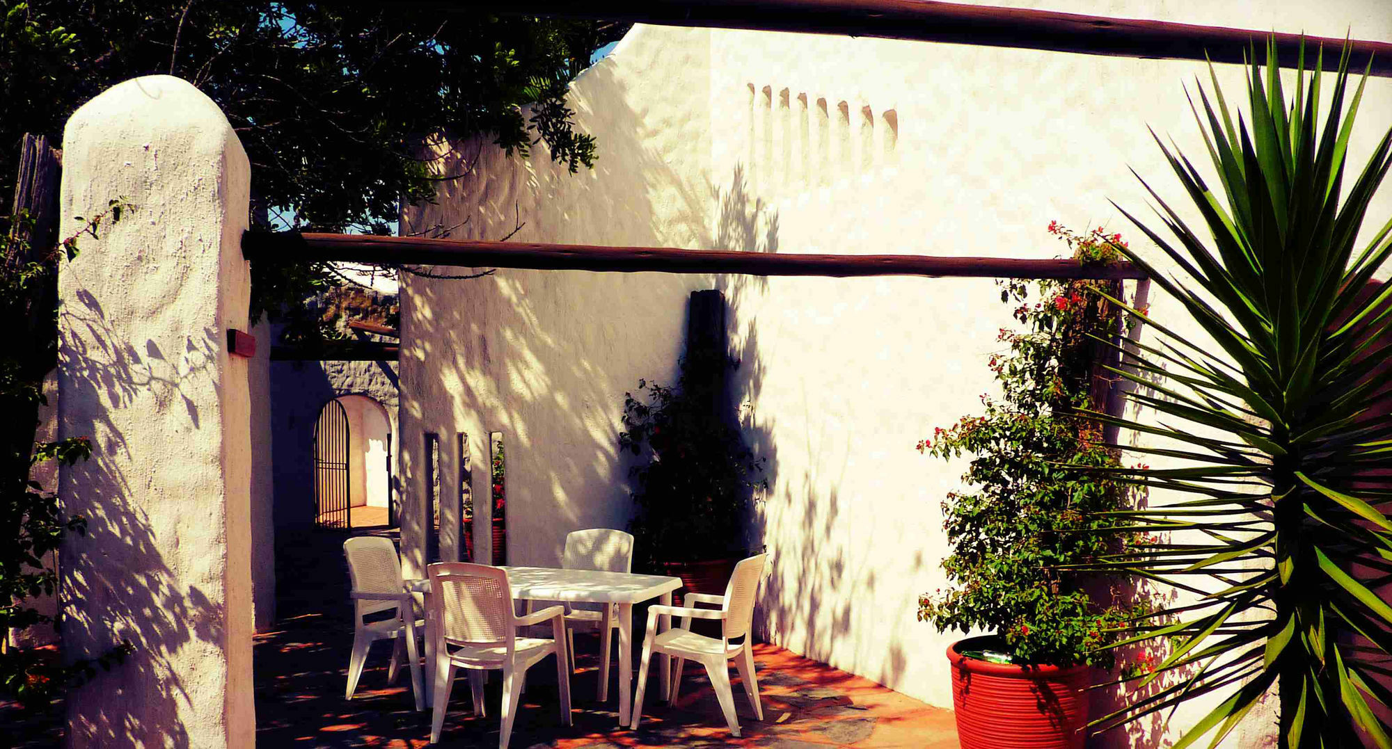 By Bush Telegraph Lodge Johannesburg Exterior foto